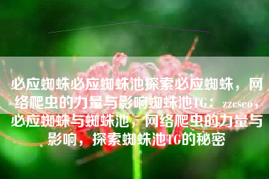 必应蜘蛛必应蜘蛛池探索必应蜘蛛，网络爬虫的力量与影响蜘蛛池TG：zzcseo，必应蜘蛛与蜘蛛池，网络爬虫的力量与影响，探索蜘蛛池TG的秘密