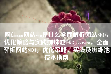 网站seo网站seo是什么全面解析网站SEO，优化策略与实践蜘蛛池TG：zzcseo，全面解析网站SEO，优化策略、实践及蜘蛛池技术指南