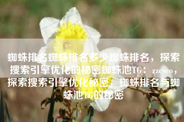 蜘蛛排名蜘蛛排名多少蜘蛛排名，探索搜索引擎优化的秘密蜘蛛池TG：zzcseo，探索搜索引擎优化秘密，蜘蛛排名与蜘蛛池TG的秘密