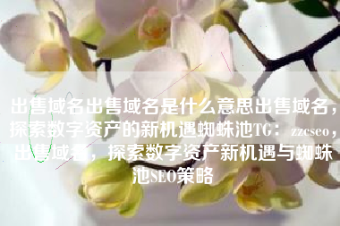 出售域名出售域名是什么意思出售域名，探索数字资产的新机遇蜘蛛池TG：zzcseo，出售域名，探索数字资产新机遇与蜘蛛池SEO策略