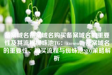 备案域名备案域名购买备案域名的重要性及其流程蜘蛛池TG：zzcseo，备案域名的重要性、购买流程与蜘蛛池SEO策略解析