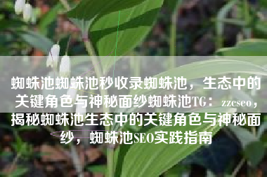 蜘蛛池蜘蛛池秒收录蜘蛛池，生态中的关键角色与神秘面纱蜘蛛池TG：zzcseo，揭秘蜘蛛池生态中的关键角色与神秘面纱，蜘蛛池SEO实践指南