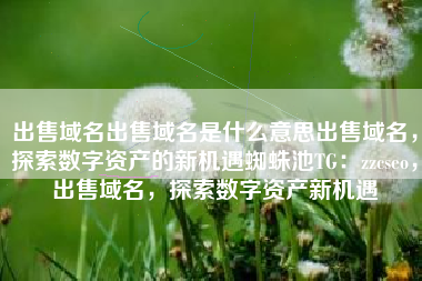 出售域名出售域名是什么意思出售域名，探索数字资产的新机遇蜘蛛池TG：zzcseo，出售域名，探索数字资产新机遇
