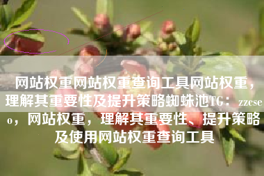 网站权重网站权重查询工具网站权重，理解其重要性及提升策略蜘蛛池TG：zzcseo，网站权重，理解其重要性、提升策略及使用网站权重查询工具