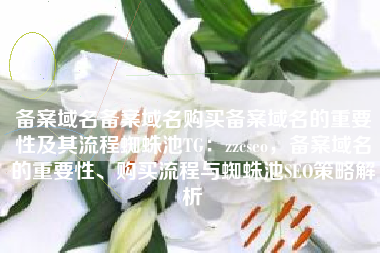 备案域名备案域名购买备案域名的重要性及其流程蜘蛛池TG：zzcseo，备案域名的重要性、购买流程与蜘蛛池SEO策略解析
