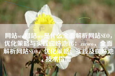 网站seo网站seo是什么全面解析网站SEO，优化策略与实践蜘蛛池TG：zzcseo，全面解析网站SEO，优化策略、实践及蜘蛛池技术指南