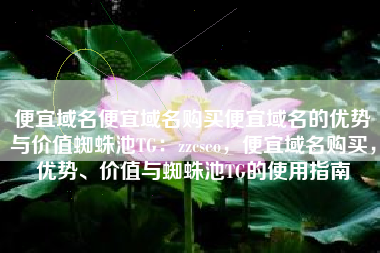 便宜域名便宜域名购买便宜域名的优势与价值蜘蛛池TG：zzcseo，便宜域名购买，优势、价值与蜘蛛池TG的使用指南