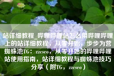 站详细教程_哔哩哔哩站怎么用哔哩哔哩上的站详细教程，从零开始，步步为营蜘蛛池TG：zzcseo，从零开始的哔哩哔哩站使用指南，站详细教程与蜘蛛池技巧分享（附TG，zzcseo）