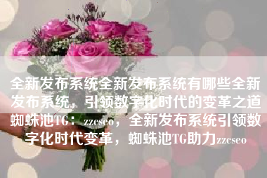 全新发布系统全新发布系统有哪些全新发布系统，引领数字化时代的变革之道蜘蛛池TG：zzcseo，全新发布系统引领数字化时代变革，蜘蛛池TG助力zzcseo