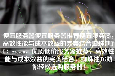 便宜服务器便宜服务器推荐便宜服务器，高效性能与成本效益的完美结合蜘蛛池TG：zzcseo，优质低价服务器推荐，高效性能与成本效益的完美结合，蜘蛛池TG助你轻松选购服务器！