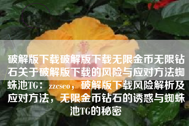 破解版下载破解版下载无限金币无限钻石关于破解版下载的风险与应对方法蜘蛛池TG：zzcseo，破解版下载风险解析及应对方法，无限金币钻石的诱惑与蜘蛛池TG的秘密