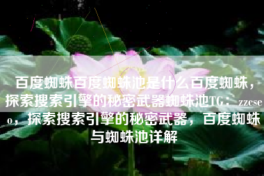 百度蜘蛛百度蜘蛛池是什么百度蜘蛛，探索搜索引擎的秘密武器蜘蛛池TG：zzcseo，探索搜索引擎的秘密武器，百度蜘蛛与蜘蛛池详解