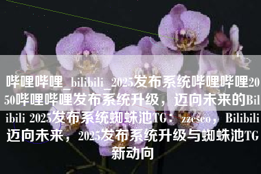 哔哩哔哩_bilibili_2025发布系统哔哩哔哩2050哔哩哔哩发布系统升级，迈向未来的Bilibili 2025发布系统蜘蛛池TG：zzcseo，Bilibili迈向未来，2025发布系统升级与蜘蛛池TG新动向