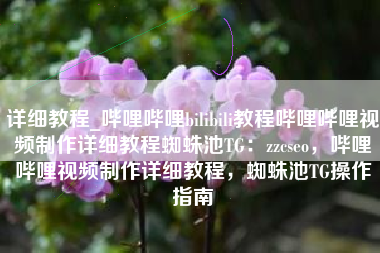 详细教程_哔哩哔哩bilibili教程哔哩哔哩视频制作详细教程蜘蛛池TG：zzcseo，哔哩哔哩视频制作详细教程，蜘蛛池TG操作指南