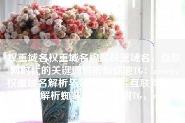 权重域名权重域名购买权重域名，互联网时代的关键词解析蜘蛛池TG：zzcseo，权重域名解析与购买策略，互联网时代关键词解析蜘蛛池指南（附TG，zzcseo）