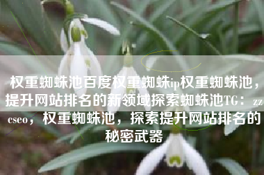 权重蜘蛛池百度权重蜘蛛ip权重蜘蛛池，提升网站排名的新领域探索蜘蛛池TG：zzcseo，权重蜘蛛池，探索提升网站排名的秘密武器