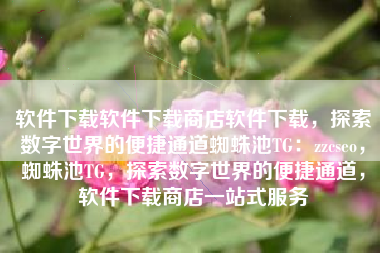 软件下载软件下载商店软件下载，探索数字世界的便捷通道蜘蛛池TG：zzcseo，蜘蛛池TG，探索数字世界的便捷通道，软件下载商店一站式服务