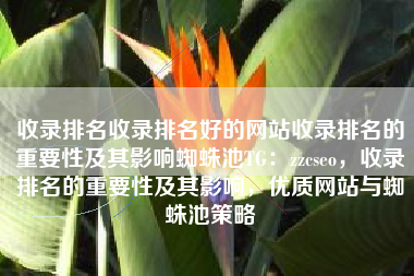 收录排名收录排名好的网站收录排名的重要性及其影响蜘蛛池TG：zzcseo，收录排名的重要性及其影响，优质网站与蜘蛛池策略