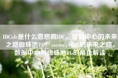 IDCidc是什么意思啊IDC，数据中心的未来之路蜘蛛池TG：zzcseo，IDC的未来之路，数据中心与蜘蛛池TG的角色解读