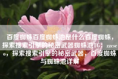 百度蜘蛛百度蜘蛛池是什么百度蜘蛛，探索搜索引擎的秘密武器蜘蛛池TG：zzcseo，探索搜索引擎的秘密武器，百度蜘蛛与蜘蛛池详解