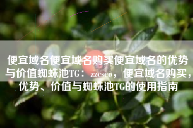 便宜域名便宜域名购买便宜域名的优势与价值蜘蛛池TG：zzcseo，便宜域名购买，优势、价值与蜘蛛池TG的使用指南