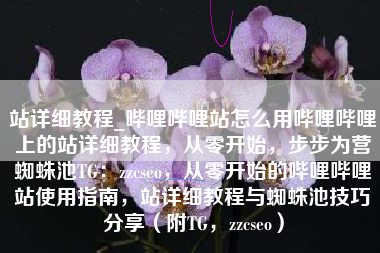 站详细教程_哔哩哔哩站怎么用哔哩哔哩上的站详细教程，从零开始，步步为营蜘蛛池TG：zzcseo，从零开始的哔哩哔哩站使用指南，站详细教程与蜘蛛池技巧分享（附TG，zzcseo）