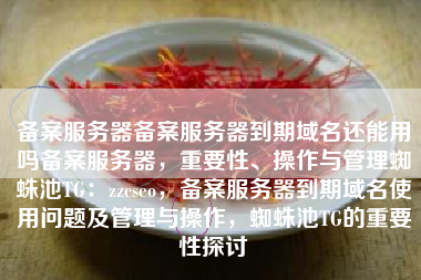 备案服务器备案服务器到期域名还能用吗备案服务器，重要性、操作与管理蜘蛛池TG：zzcseo，备案服务器到期域名使用问题及管理与操作，蜘蛛池TG的重要性探讨