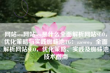 网站seo网站seo是什么全面解析网站SEO，优化策略与实践蜘蛛池TG：zzcseo，全面解析网站SEO，优化策略、实践及蜘蛛池技术指南
