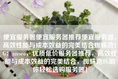 便宜服务器便宜服务器推荐便宜服务器，高效性能与成本效益的完美结合蜘蛛池TG：zzcseo，优质低价服务器推荐，高效性能与成本效益的完美结合，蜘蛛池TG助你轻松选购服务器！