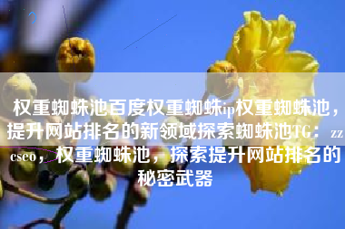 权重蜘蛛池百度权重蜘蛛ip权重蜘蛛池，提升网站排名的新领域探索蜘蛛池TG：zzcseo，权重蜘蛛池，探索提升网站排名的秘密武器