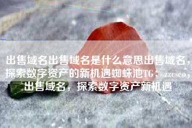 出售域名出售域名是什么意思出售域名，探索数字资产的新机遇蜘蛛池TG：zzcseo，出售域名，探索数字资产新机遇