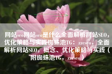 网站seo网站seo是什么全面解析网站SEO，优化策略与实践蜘蛛池TG：zzcseo，全面解析网站SEO，概念、优化策略与实践（附蜘蛛池TG，zzcseo）