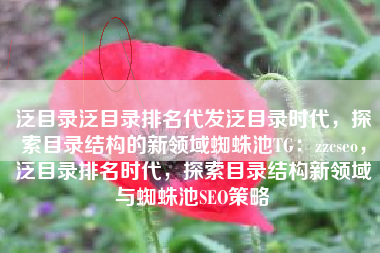 泛目录泛目录排名代发泛目录时代，探索目录结构的新领域蜘蛛池TG：zzcseo，泛目录排名时代，探索目录结构新领域与蜘蛛池SEO策略