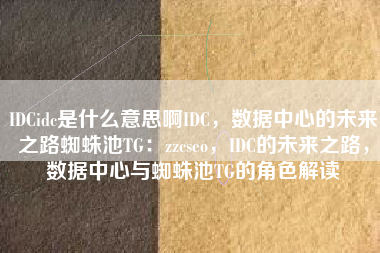 IDCidc是什么意思啊IDC，数据中心的未来之路蜘蛛池TG：zzcseo，IDC的未来之路，数据中心与蜘蛛池TG的角色解读