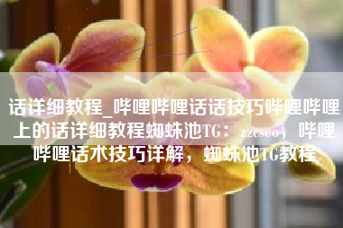 话详细教程_哔哩哔哩话话技巧哔哩哔哩上的话详细教程蜘蛛池TG：zzcseo，哔哩哔哩话术技巧详解，蜘蛛池TG教程