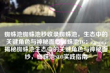 蜘蛛池蜘蛛池秒收录蜘蛛池，生态中的关键角色与神秘面纱蜘蛛池TG：zzcseo，揭秘蜘蛛池生态中的关键角色与神秘面纱，蜘蛛池SEO实践指南