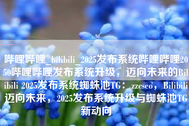 哔哩哔哩_bilibili_2025发布系统哔哩哔哩2050哔哩哔哩发布系统升级，迈向未来的Bilibili 2025发布系统蜘蛛池TG：zzcseo，Bilibili迈向未来，2025发布系统升级与蜘蛛池TG新动向