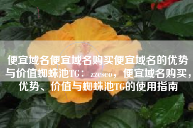 便宜域名便宜域名购买便宜域名的优势与价值蜘蛛池TG：zzcseo，便宜域名购买，优势、价值与蜘蛛池TG的使用指南