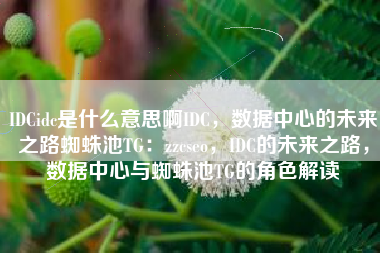 IDCidc是什么意思啊IDC，数据中心的未来之路蜘蛛池TG：zzcseo，IDC的未来之路，数据中心与蜘蛛池TG的角色解读
