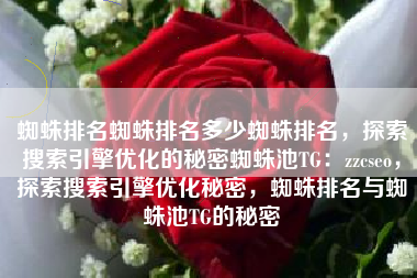 蜘蛛排名蜘蛛排名多少蜘蛛排名，探索搜索引擎优化的秘密蜘蛛池TG：zzcseo，探索搜索引擎优化秘密，蜘蛛排名与蜘蛛池TG的秘密