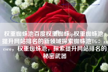 权重蜘蛛池百度权重蜘蛛ip权重蜘蛛池，提升网站排名的新领域探索蜘蛛池TG：zzcseo，权重蜘蛛池，探索提升网站排名的秘密武器
