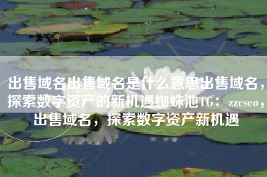 出售域名出售域名是什么意思出售域名，探索数字资产的新机遇蜘蛛池TG：zzcseo，出售域名，探索数字资产新机遇