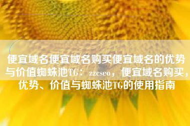 便宜域名便宜域名购买便宜域名的优势与价值蜘蛛池TG：zzcseo，便宜域名购买，优势、价值与蜘蛛池TG的使用指南