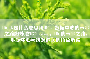 IDCidc是什么意思啊IDC，数据中心的未来之路蜘蛛池TG：zzcseo，IDC的未来之路，数据中心与蜘蛛池TG的角色解读