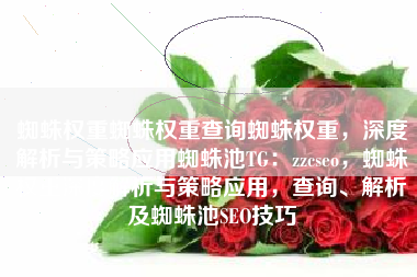 蜘蛛权重蜘蛛权重查询蜘蛛权重，深度解析与策略应用蜘蛛池TG：zzcseo，蜘蛛权重深度解析与策略应用，查询、解析及蜘蛛池SEO技巧