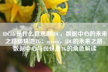 IDCidc是什么意思啊IDC，数据中心的未来之路蜘蛛池TG：zzcseo，IDC的未来之路，数据中心与蜘蛛池TG的角色解读