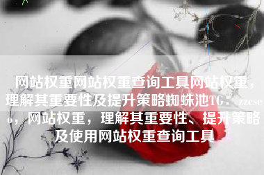 网站权重网站权重查询工具网站权重，理解其重要性及提升策略蜘蛛池TG：zzcseo，网站权重，理解其重要性、提升策略及使用网站权重查询工具
