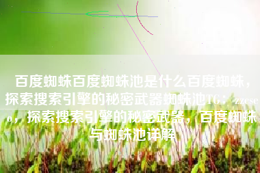 百度蜘蛛百度蜘蛛池是什么百度蜘蛛，探索搜索引擎的秘密武器蜘蛛池TG：zzcseo，探索搜索引擎的秘密武器，百度蜘蛛与蜘蛛池详解