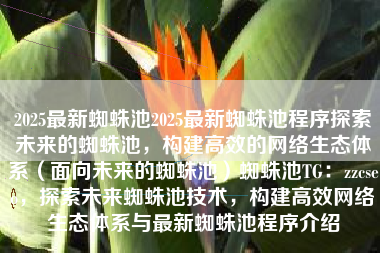 2025最新蜘蛛池2025最新蜘蛛池程序探索未来的蜘蛛池，构建高效的网络生态体系（面向未来的蜘蛛池）蜘蛛池TG：zzcseo，探索未来蜘蛛池技术，构建高效网络生态体系与最新蜘蛛池程序介绍