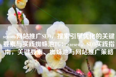 seoseo网站推广SEO，搜索引擎优化的关键要素与实践蜘蛛池TG：zzcseo，SEO实践指南，关键要素、蜘蛛池与网站推广策略